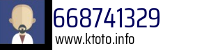 668741329