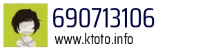 690713106