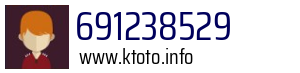 691238529
