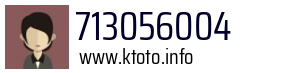 713056004