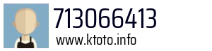 713066413