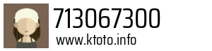 713067300