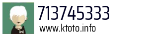 713745333
