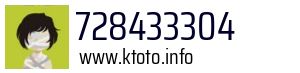 728433304