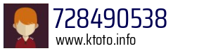 728490538