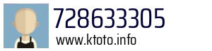 728633305