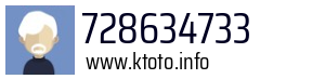 728634733