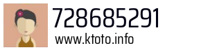728685291