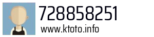 728858251