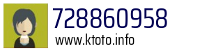 728860958