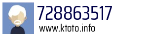 728863517
