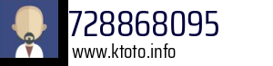 728868095