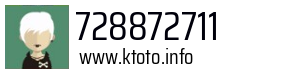 728872711