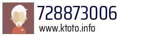 728873006