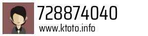 728874040