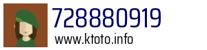728880919