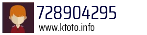 728904295