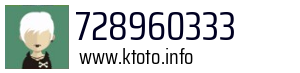728960333