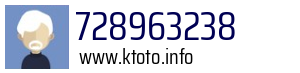 728963238