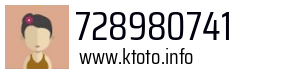 728980741