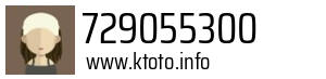 729055300