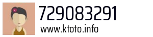 729083291
