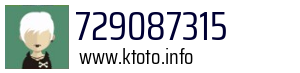 729087315