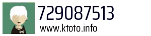 729087513