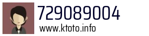 729089004