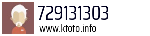 729131303