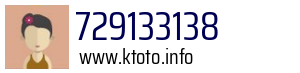 729133138