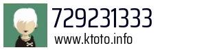 729231333