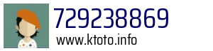 729238869