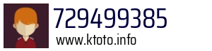 729499385