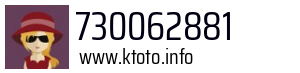 730062881