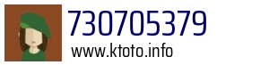 730705379