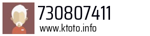 730807411