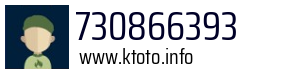730866393
