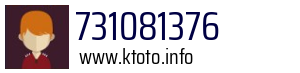 731081376