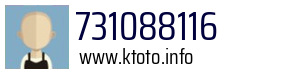 731088116
