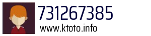 731267385