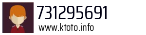 731295691