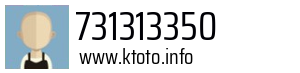731313350