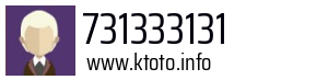 731333131