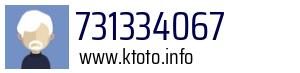 731334067