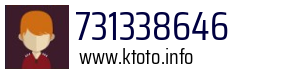 731338646