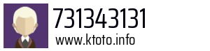 731343131