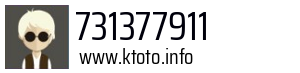 731377911