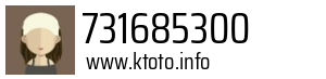 731685300