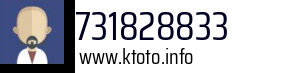 731828833